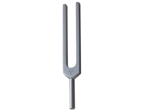 CK-900 Tuning Fork